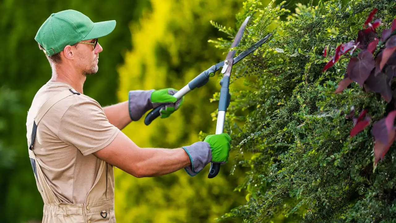 Come avviare una carriera da giardiniere autonomo: requisiti, competenze e opportunità per trasformare la passione per il verde in professione