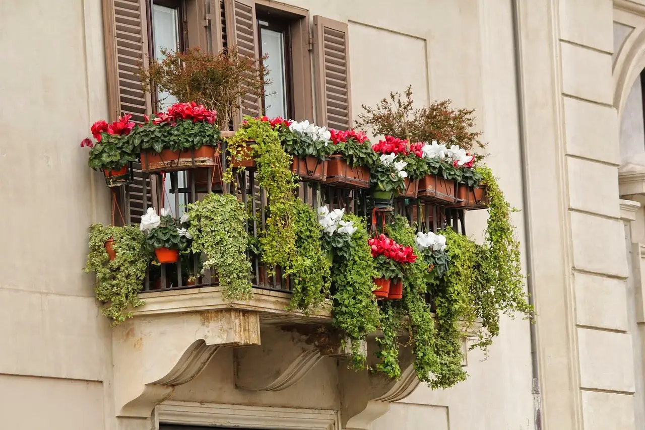 Idee e consigli su cosa piantare nei vasi esterni in inverno per avere balconi e terrazzi colorati tutto l’anno