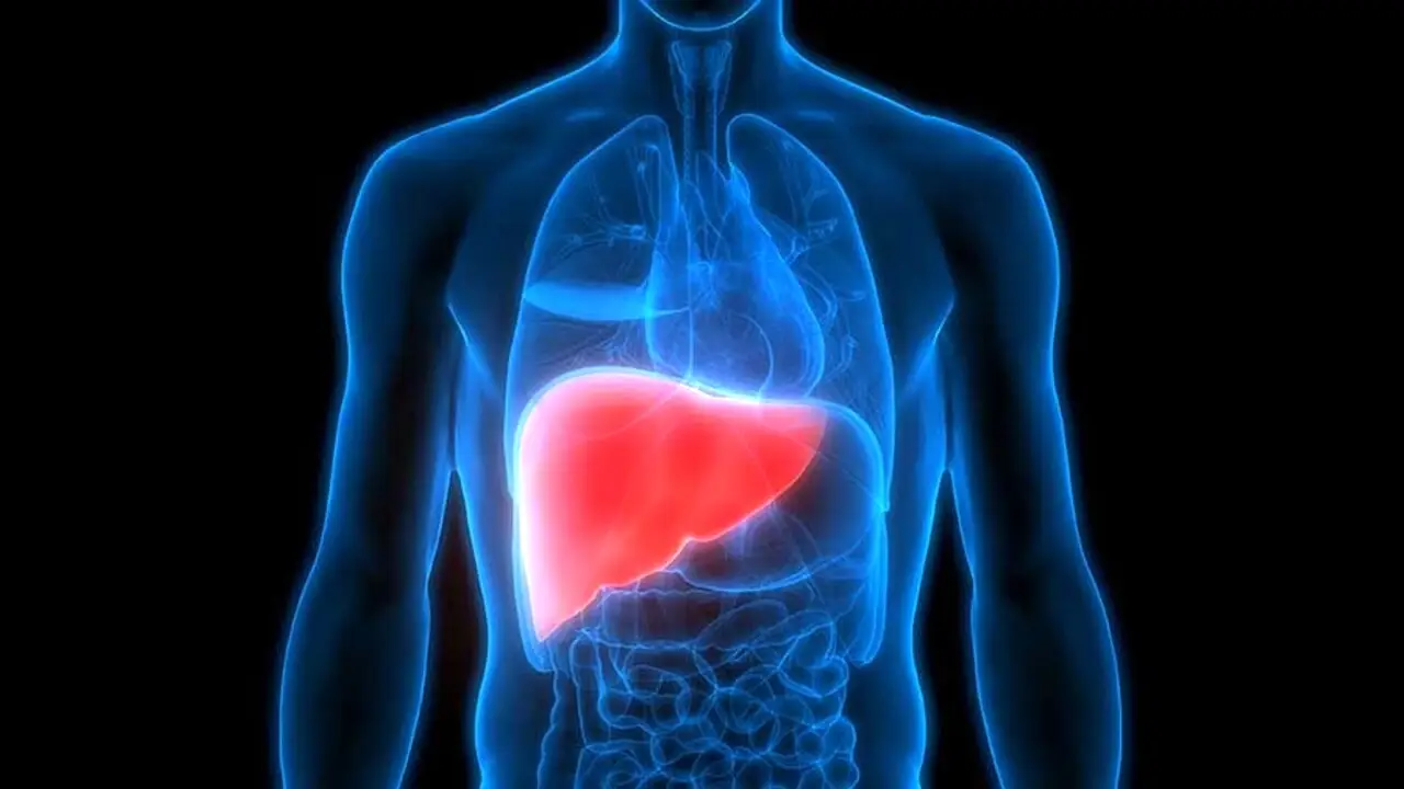 Fegato infiammato: come riconoscere i sintomi e perché è importante la prevenzione