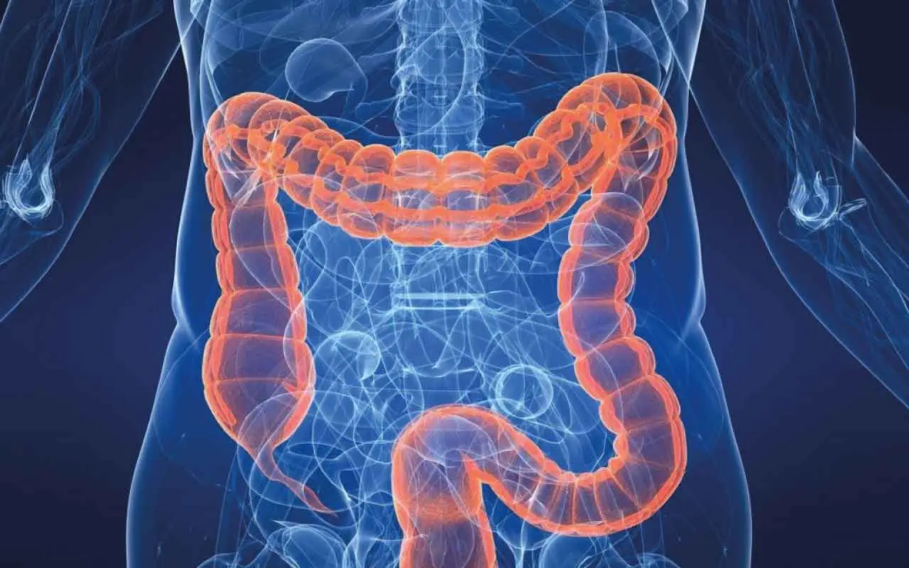 Elminti: cosa sono e perché conoscere questi parassiti può aiutare la nostra salute