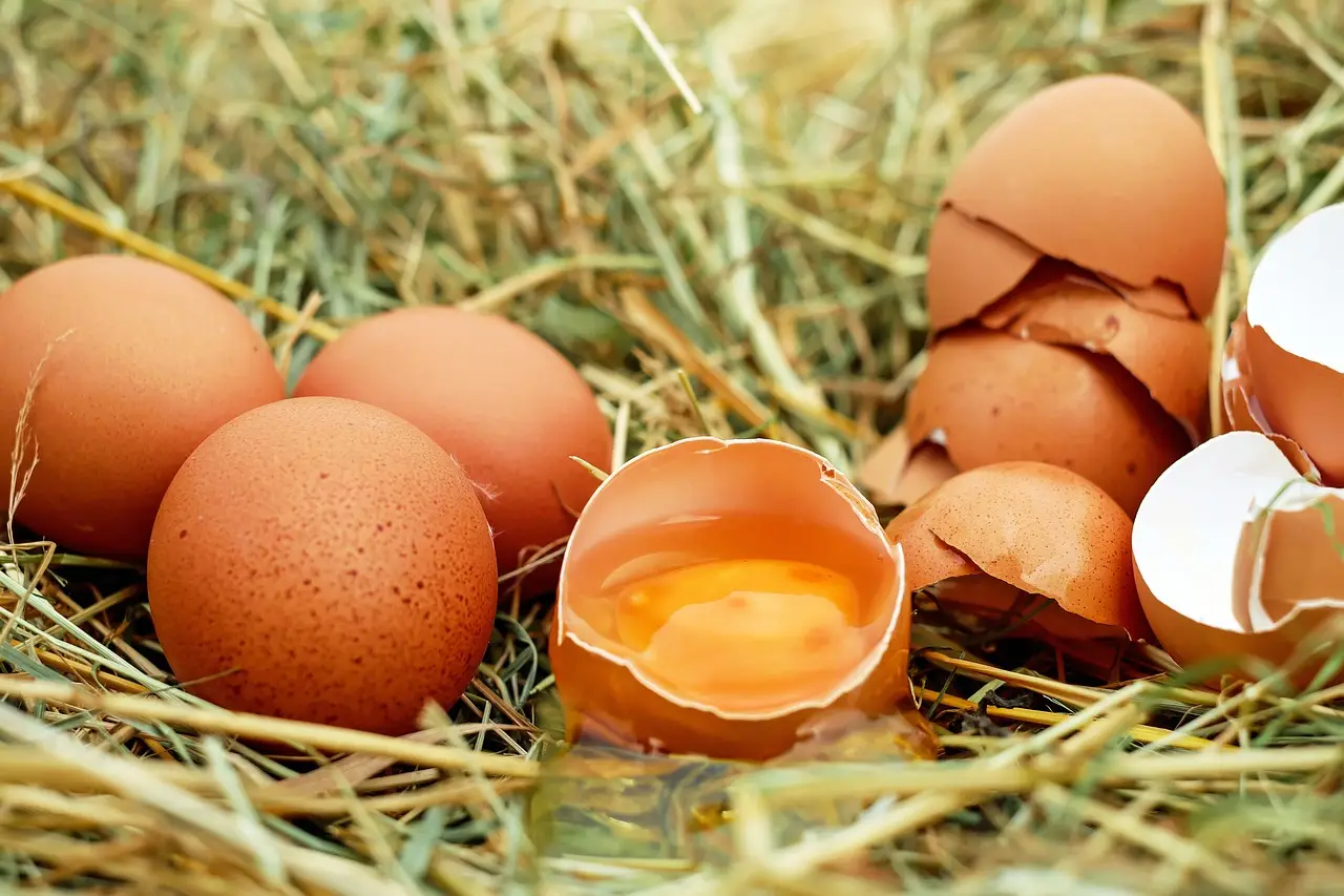 Quante uova si possono mangiare al mese? Ecco la risposta a una domanda comune