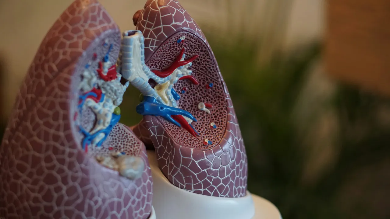 Ecco qual è la malattia polmonare più grave: lo sapevi?