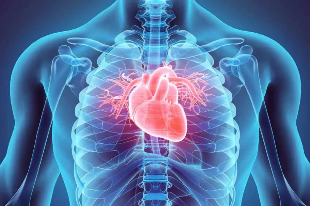 Apparato cardiovascolare: attenzione a queste 3 malattie diffuse