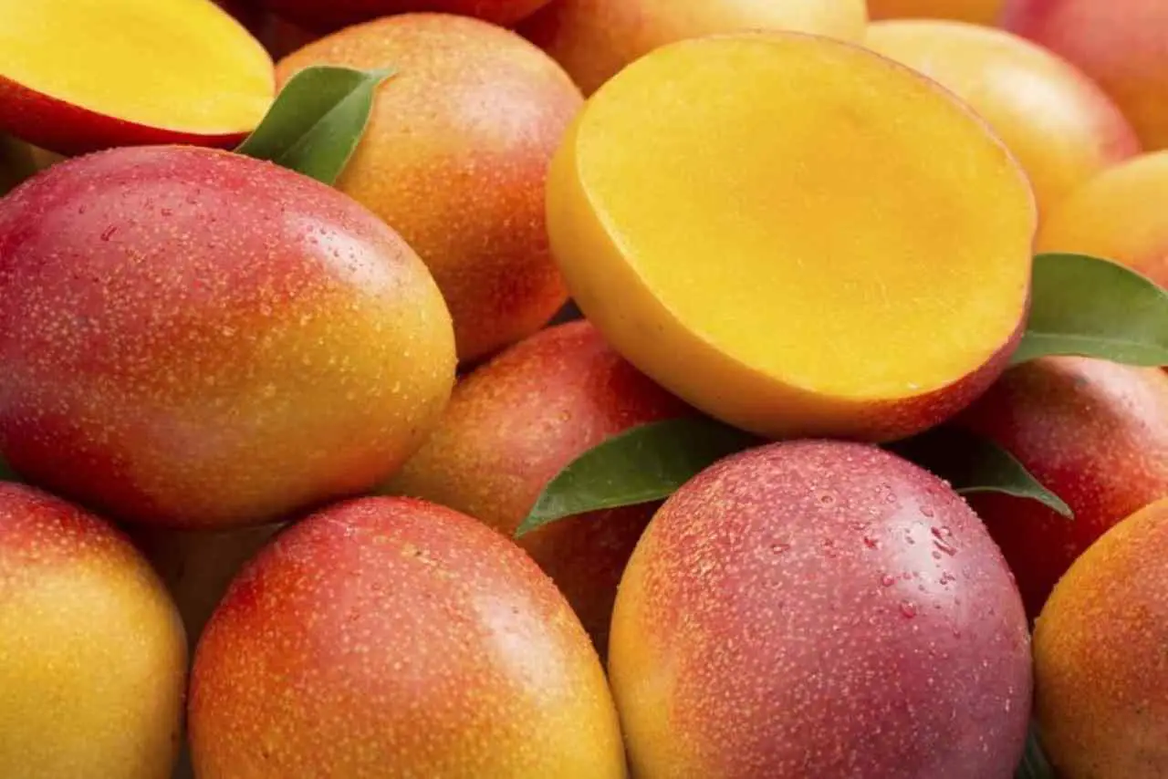 Il mango combatte il cancro? Ecco cosa dice davvero la scienza su questo frutto