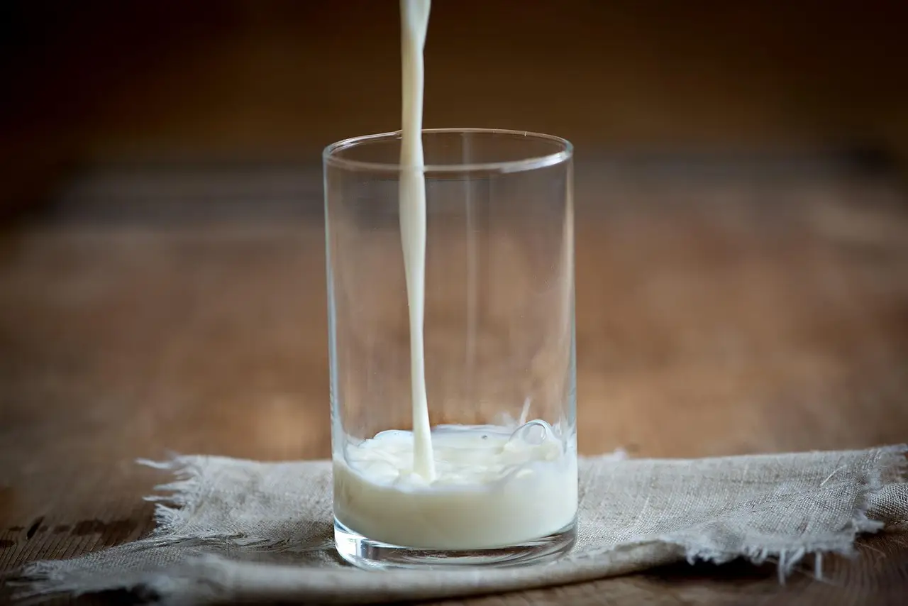 Sostituti del latte: ecco cosa bere a colazione