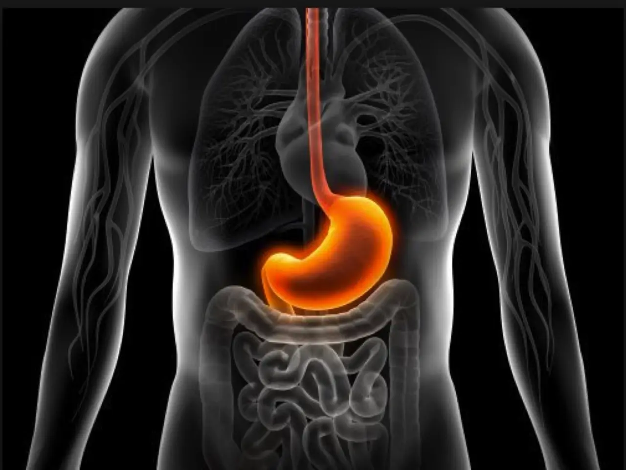 Pensi di avere problemi di stomaco? Potrebbe essere ansia: ecco i sintomi sorprendenti