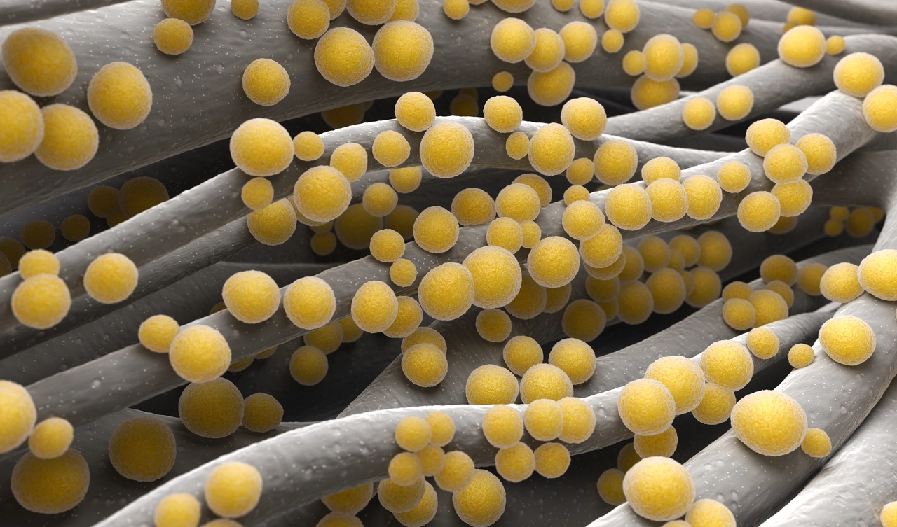 Che cos’è il lichen: la malattia della pelle che colpisce in silenzio e come riconoscerla