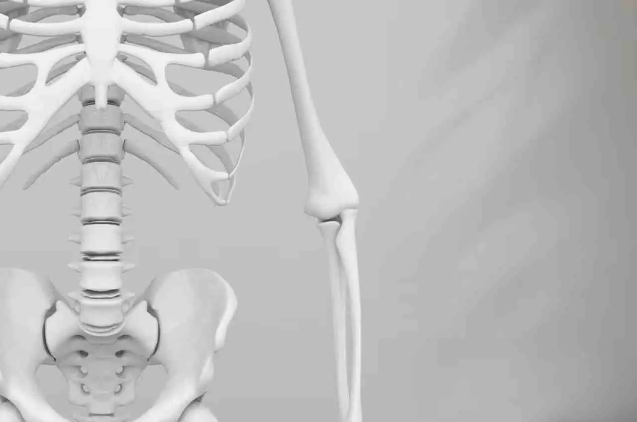 Pensi che il nuoto rinforzi le ossa? Ecco cosa dicono davvero gli esperti