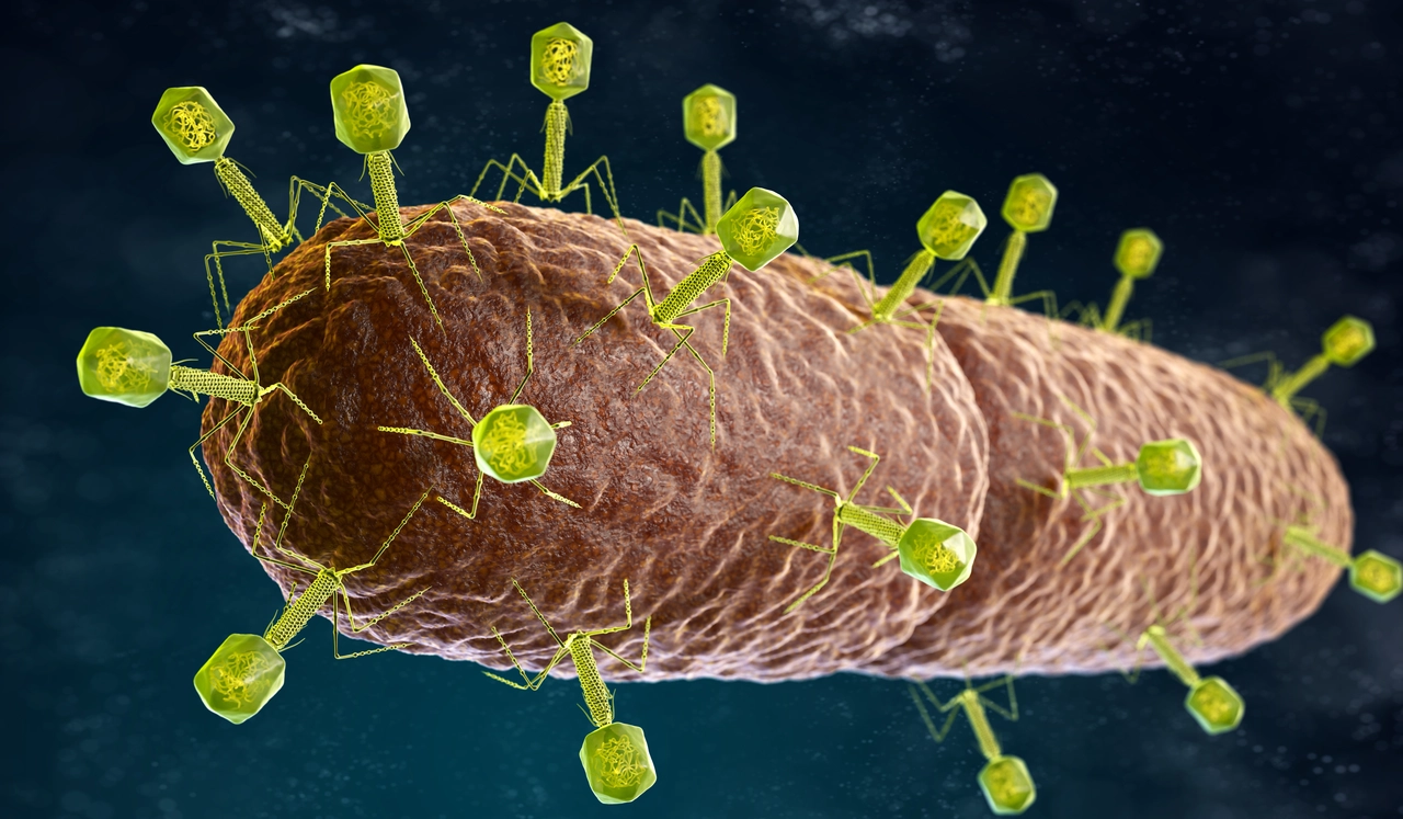 Allerta virus intestinale: ecco le regole essenziali per non ammalarsi
